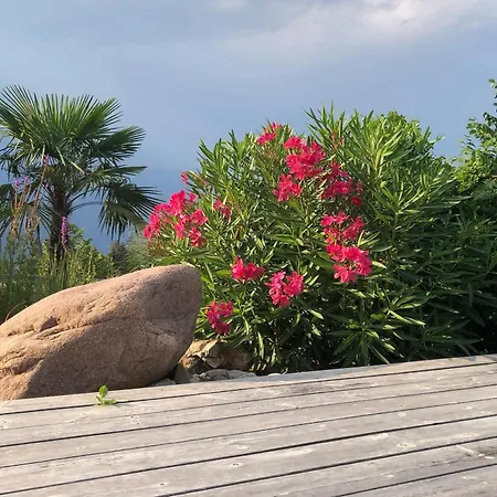 Felsenegg Апартаменты