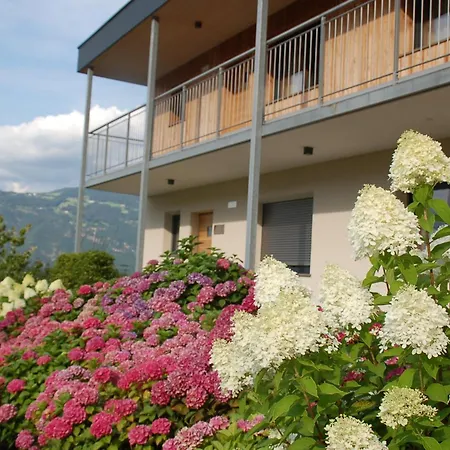 Felsenegg Апартаменты *