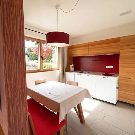 Felsenegg Apartment *